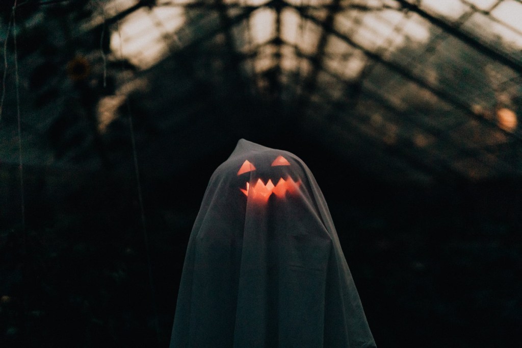 Фото: Pexels
